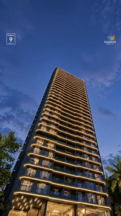 Video Image