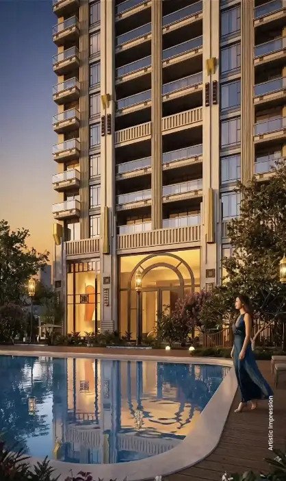 Video Image