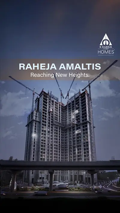 Video Image