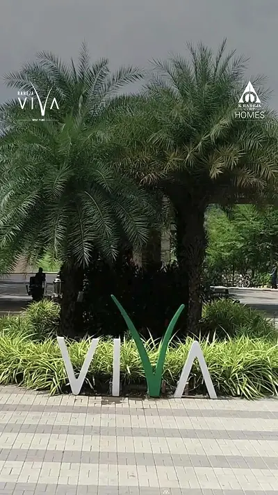 Video Image