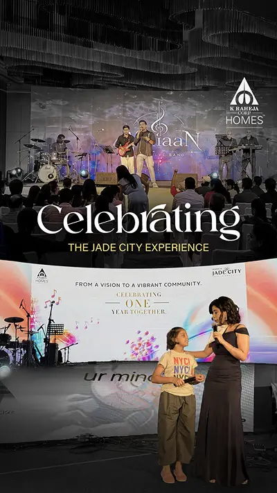 Video Image