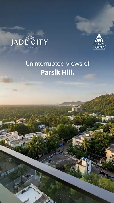 Video Image