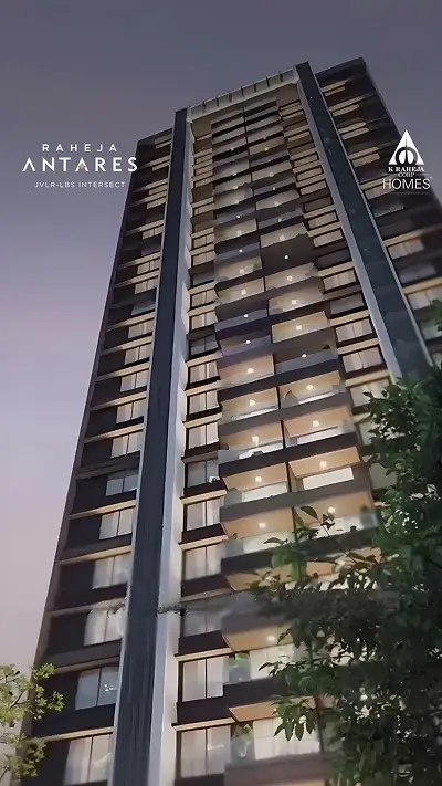 Video Image