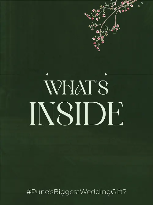 Video Image