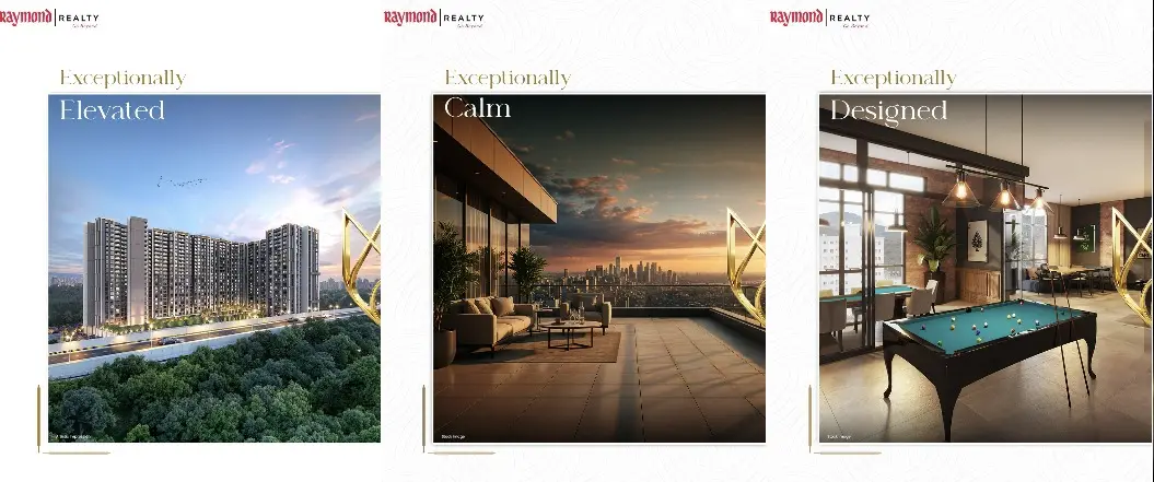 Video Image