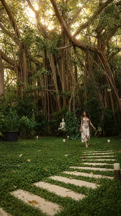 Video Image