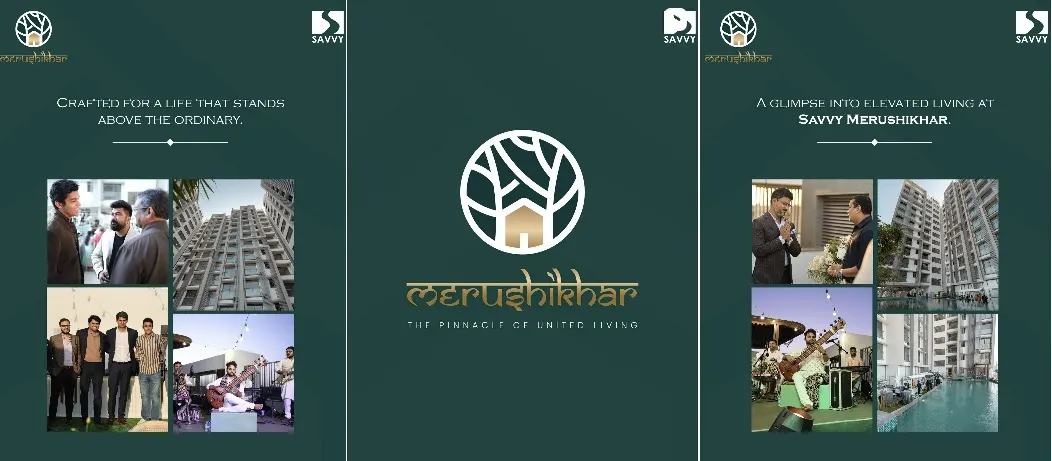Video Image