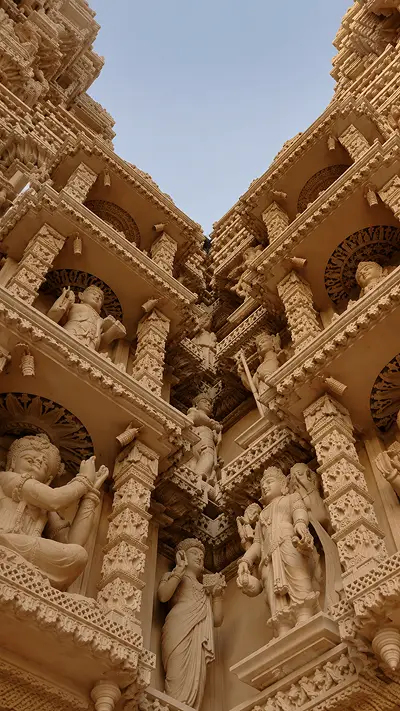 Video Image