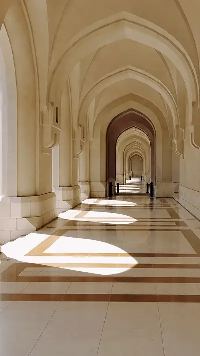 Video Image