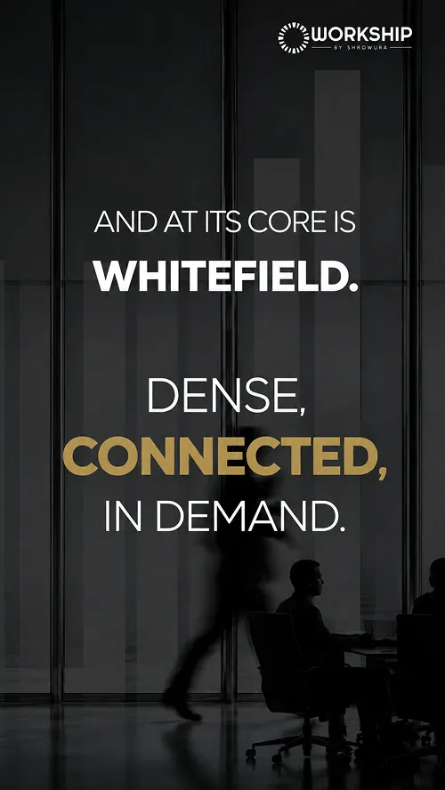 Video Image